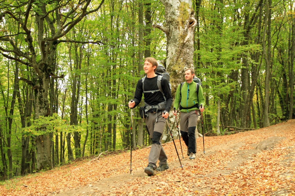 Turismo sostenible: buenas semillas que va sembrando el ocio