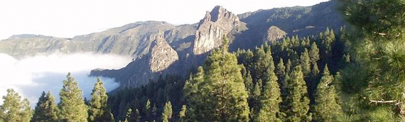 Las Reservas de la Biosfera que incumplan los objetivos de la UNESCO serán expulsadas