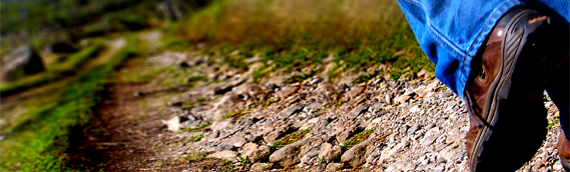 Un nuevo plan reforzará las relaciones entre conservación de la biodiversidad y turismo sostenible