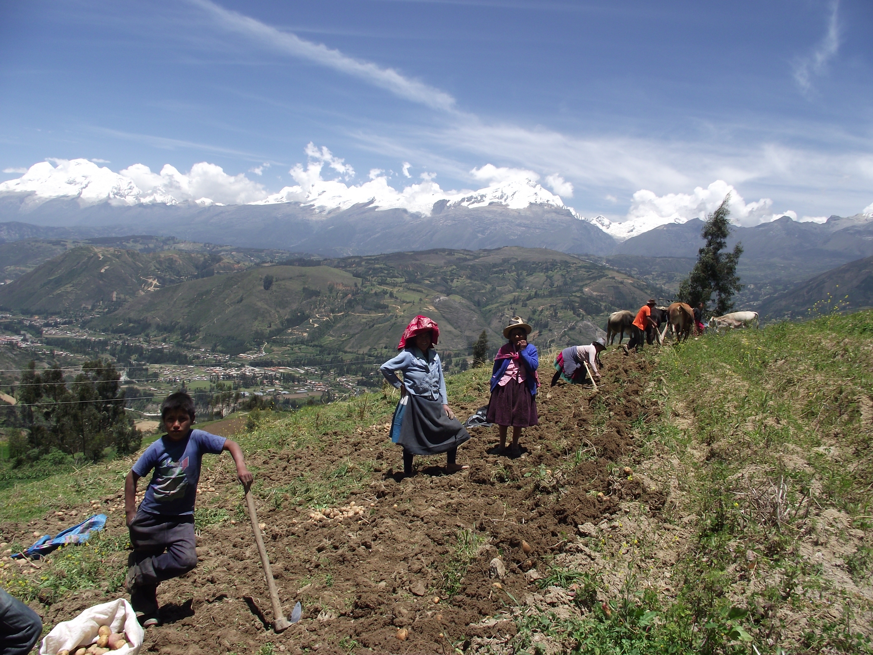 Barrick impulsa la sostenibilidad productiva local